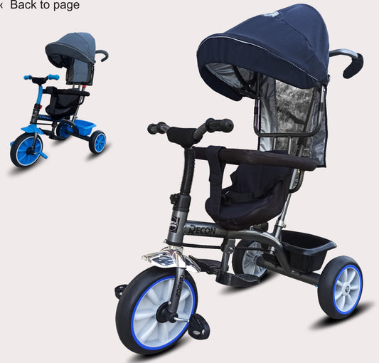 TR-919 Tricycle Cushioned Seat with secured Front Bar